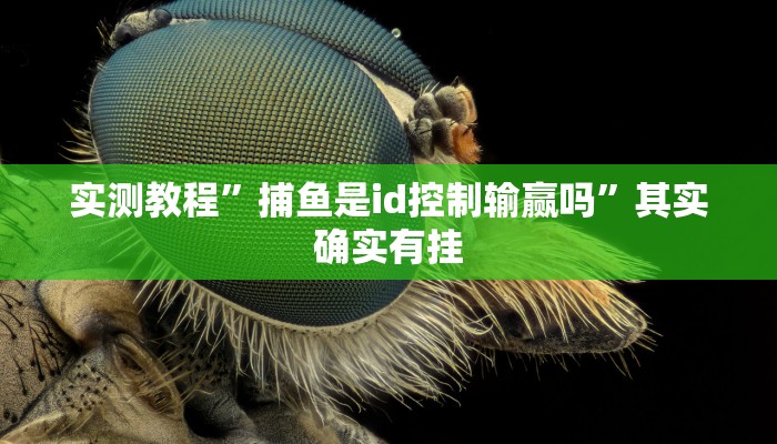 实测教程”捕鱼是id控制输赢吗”其实确实有挂