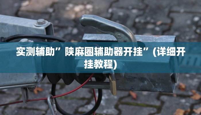 实测辅助”陕麻圈辅助器开挂”(详细开挂教程)