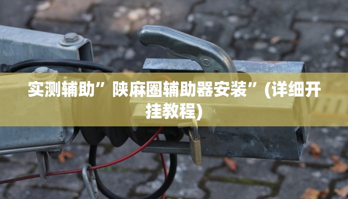 实测辅助”陕麻圈辅助器安装”(详细开挂教程)