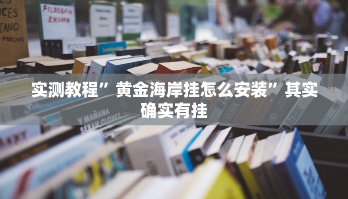 实测教程”黄金海岸挂怎么安装”其实确实有挂