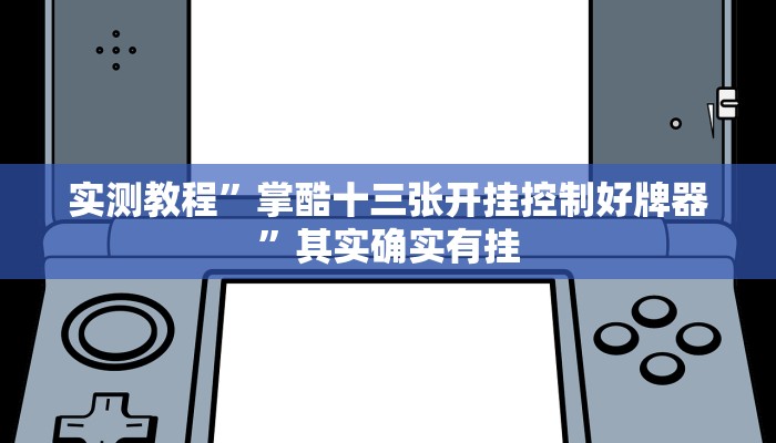 实测教程”掌酷十三张开挂控制好牌器”其实确实有挂