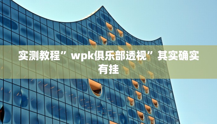 实测教程”wpk俱乐部透视”其实确实有挂