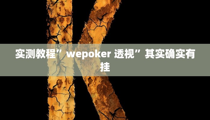 实测教程”wepoker 透视”其实确实有挂