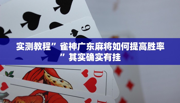 实测教程”雀神广东麻将如何提高胜率”其实确实有挂