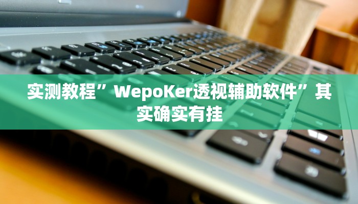 实测教程”WepoKer透视辅助软件”其实确实有挂