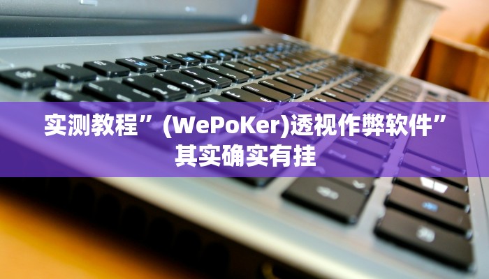 实测教程”(WePoKer)透视作弊软件”其实确实有挂