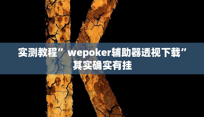 实测教程”wepoker辅助器透视下载”其实确实有挂