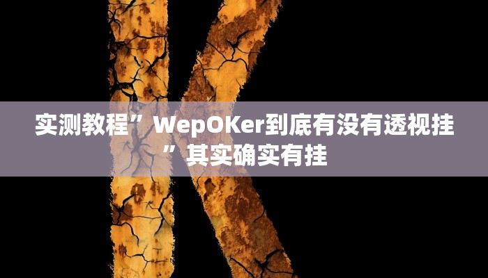 实测教程”WepOKer到底有没有透视挂”其实确实有挂