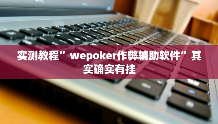 实测教程”wepoker作弊辅助软件”其实确实有挂