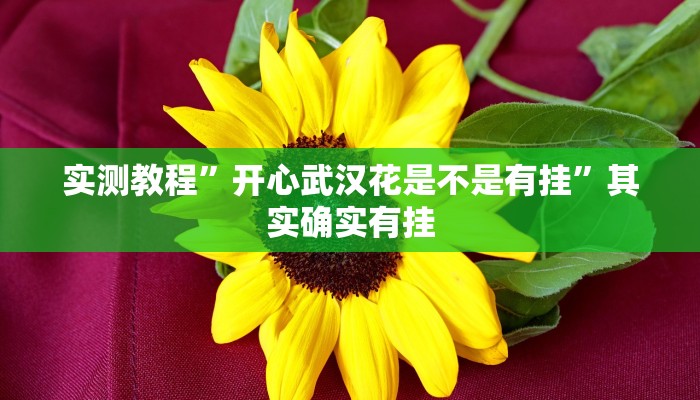 实测教程”开心武汉花是不是有挂”其实确实有挂