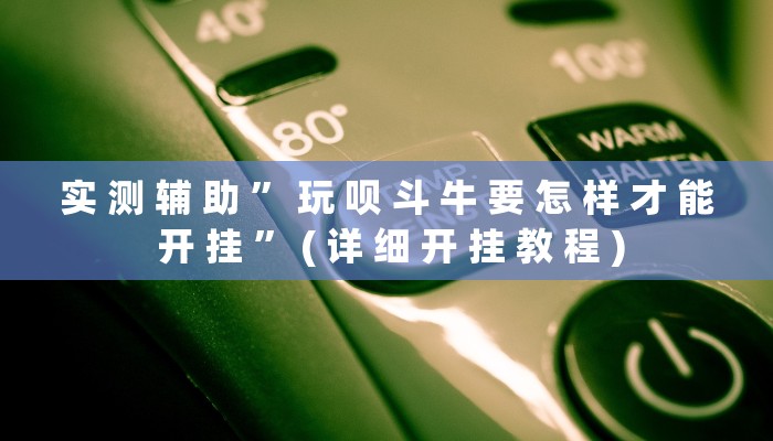实 测 辅 助 ” 玩 呗 斗 牛 要 怎 样 才 能 开 挂 ” ( 详 细 开 挂 教 程 )