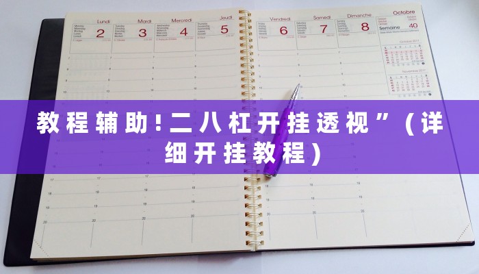 教 程 辅 助 ! 二 八 杠 开 挂 透 视 ” ( 详 细 开 挂 教 程 )