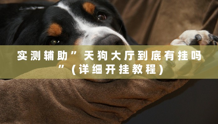 实 测 辅 助 ” 天 狗 大 厅 到 底 有 挂 吗 ” ( 详 细 开 挂 教 程 )