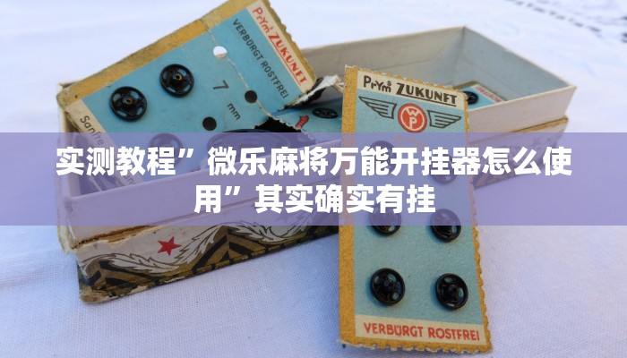 教 程 辅 助 ! 微 乐 贵 州 麻 将 万 能 开 挂 器 通 用 版 ” ( 详 细 开 挂 教 程 )