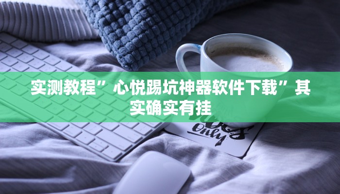 实测教程”WePoKer透视挂安装教程”其实确实有挂
