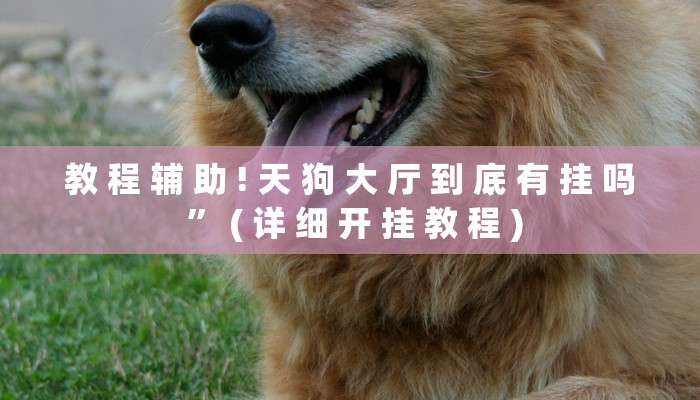 教 程 辅 助 ! 天 狗 大 厅 到 底 有 挂 吗 ” ( 详 细 开 挂 教 程 )