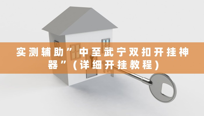 实 测 辅 助 ” 中 至 武 宁 双 扣 开 挂 神 器 ” ( 详 细 开 挂 教 程 )