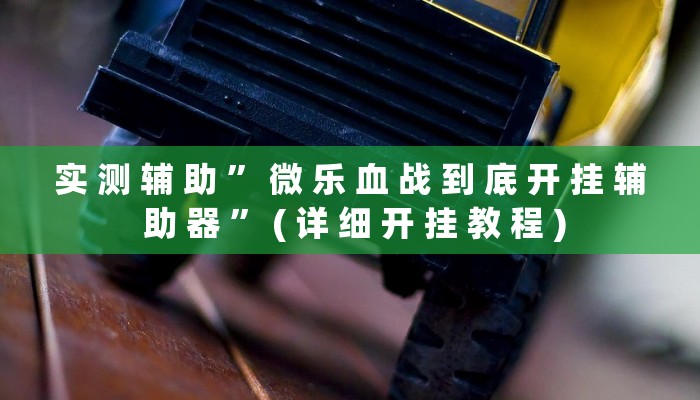 实 测 辅 助 ” 微 乐 血 战 到 底 开 挂 辅 助 器 ” ( 详 细 开 挂 教 程 )