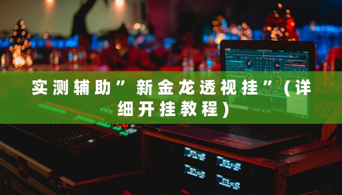 实 测 辅 助 ” 新 金 龙 透 视 挂 ” ( 详 细 开 挂 教 程 )