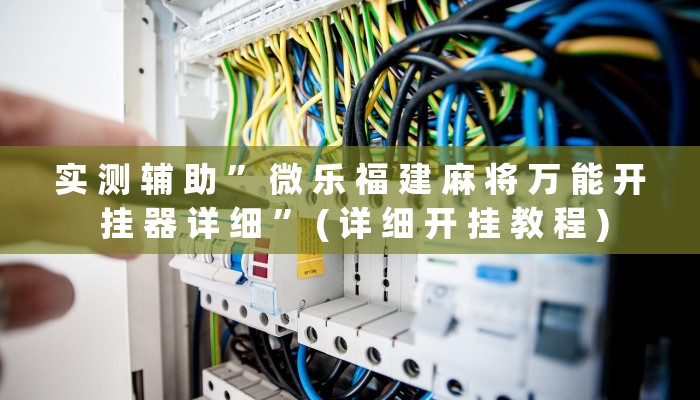 实 测 辅 助 ” 微 乐 福 建 麻 将 万 能 开 挂 器 详 细 ” ( 详 细 开 挂 教 程 )