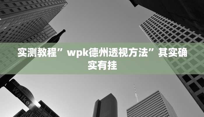 实测教程”wpk德州透视方法”其实确实有挂