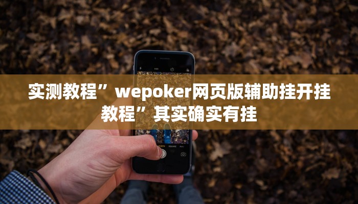实测教程”wepoker网页版辅助挂开挂教程”其实确实有挂