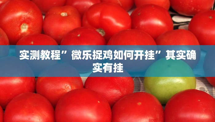 实测教程”微乐捉鸡如何开挂”其实确实有挂