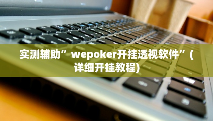 实测辅助”wepoker开挂透视软件”(详细开挂教程)