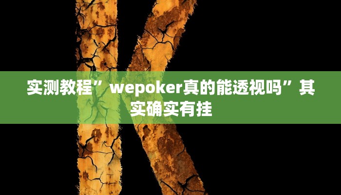 实测教程”wepoker真的能透视吗”其实确实有挂