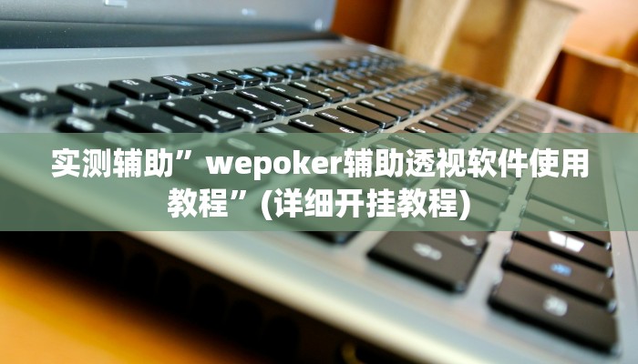 实测辅助”wepoker辅助透视软件使用教程”(详细开挂教程)