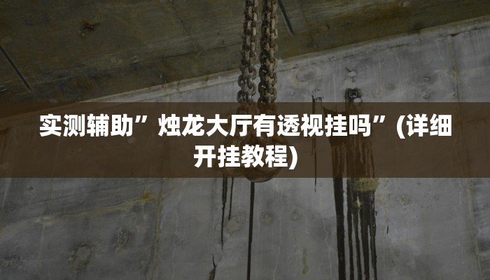 实测辅助”烛龙大厅有透视挂吗”(详细开挂教程)