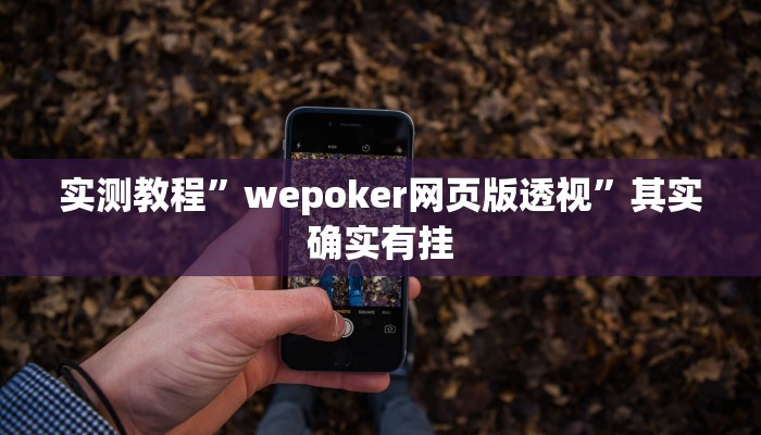 实测教程”wepoker网页版透视”其实确实有挂