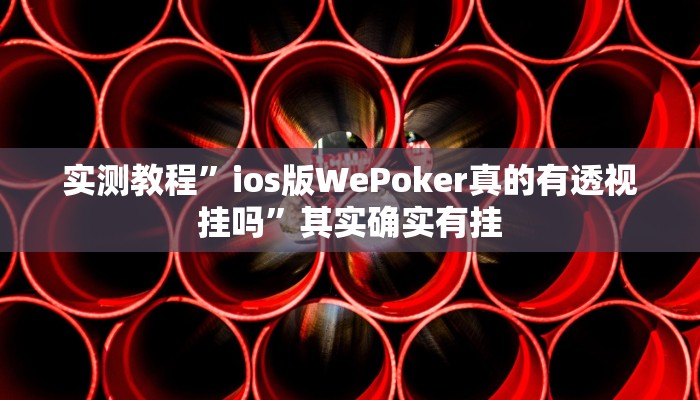 实测教程”ios版WePoker真的有透视挂吗”其实确实有挂