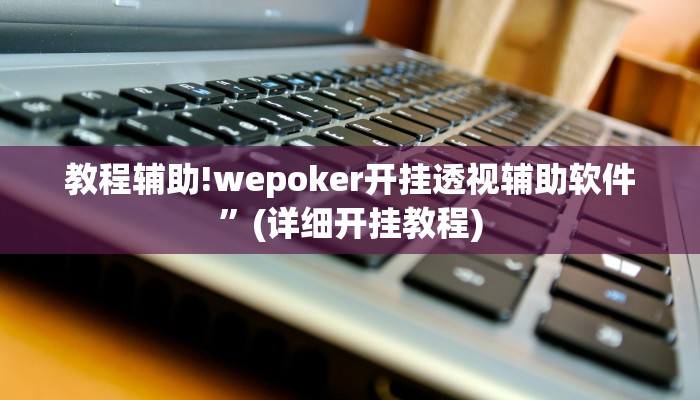 教程辅助!wepoker开挂透视辅助软件”(详细开挂教程)