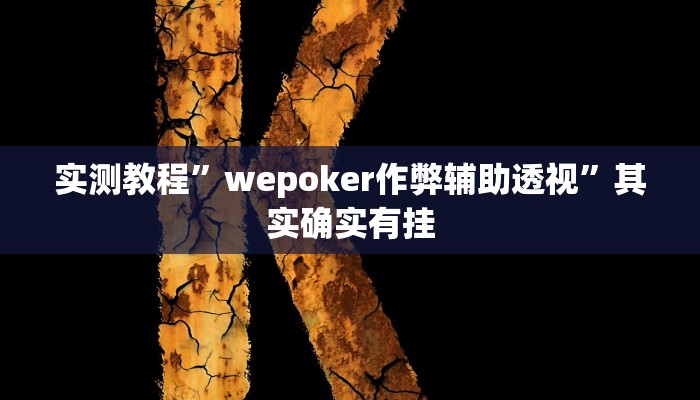 实测教程”wepoker作弊辅助透视”其实确实有挂