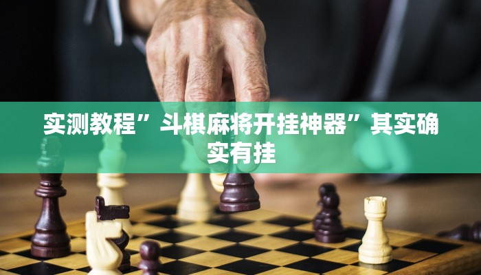 实测教程”斗棋麻将开挂神器”其实确实有挂