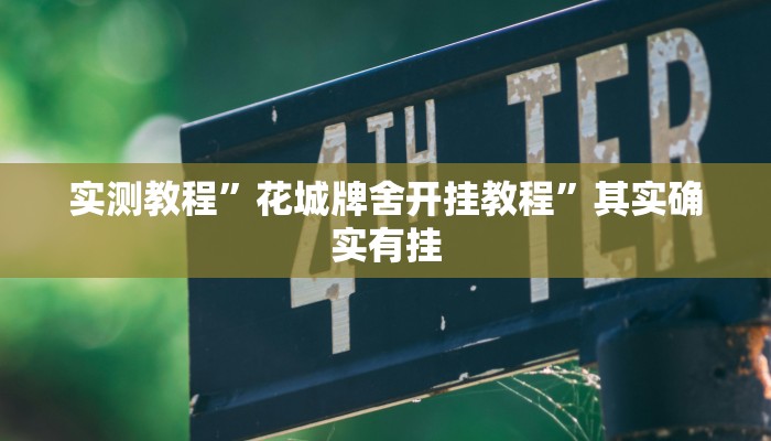 实测教程”花城牌舍开挂教程”其实确实有挂
