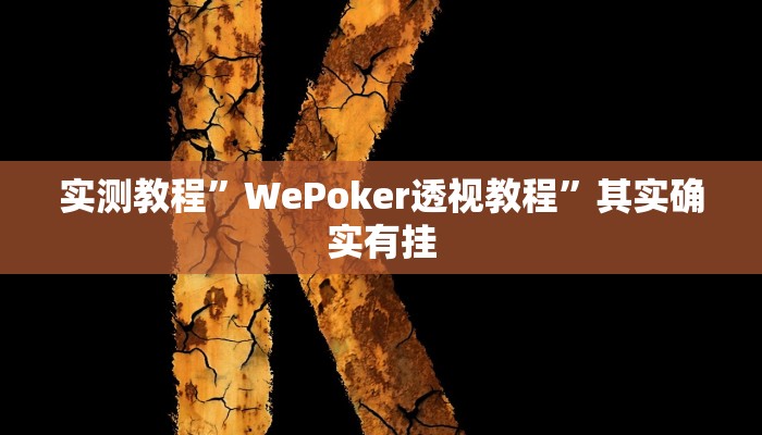 实测教程”WePoker透视教程”其实确实有挂