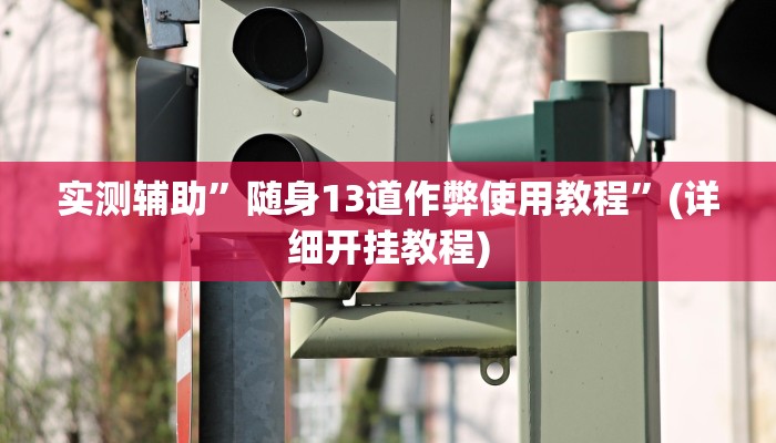 实测辅助”随身13道作弊使用教程”(详细开挂教程)