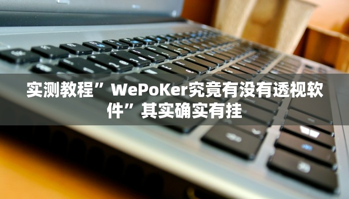 实测教程”WePoKer究竟有没有透视软件”其实确实有挂