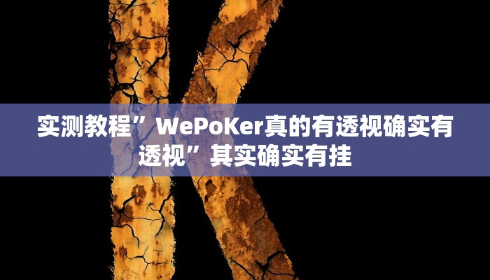 实测教程”WePoKer真的有透视确实有透视”其实确实有挂