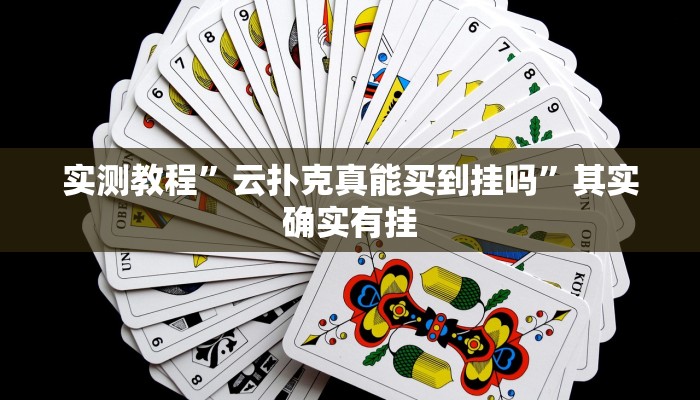 实测教程”微乐开挂透视辅助软件”其实确实有挂