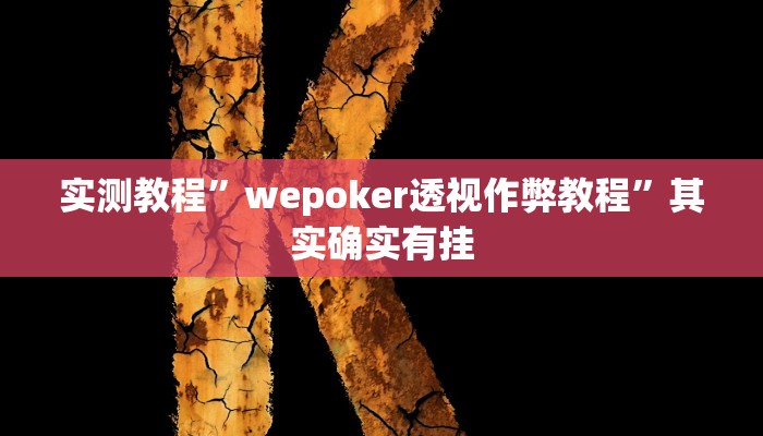 实测教程”wepoker透视作弊教程”其实确实有挂