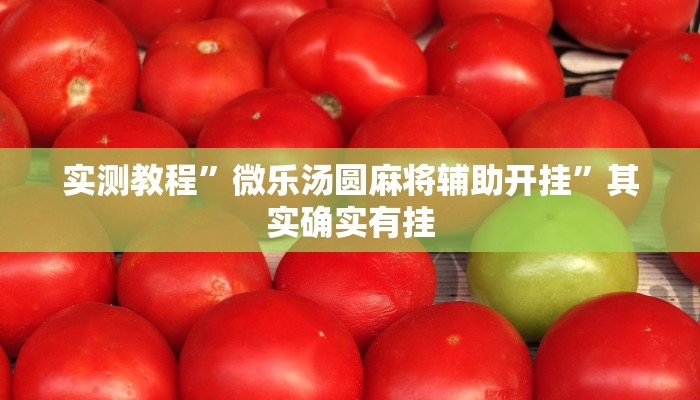 实测教程”微乐汤圆麻将辅助开挂”其实确实有挂