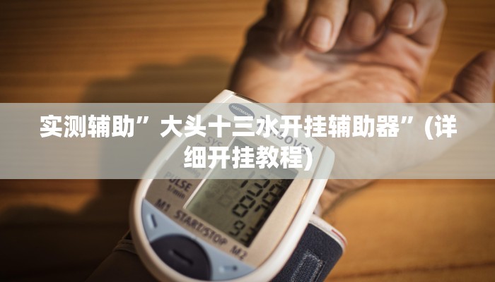 实测辅助”大头十三水开挂辅助器”(详细开挂教程)