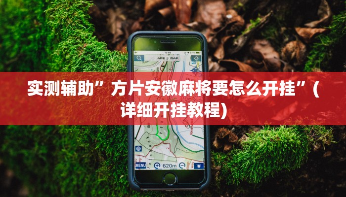 实测辅助”方片安徽麻将要怎么开挂”(详细开挂教程)