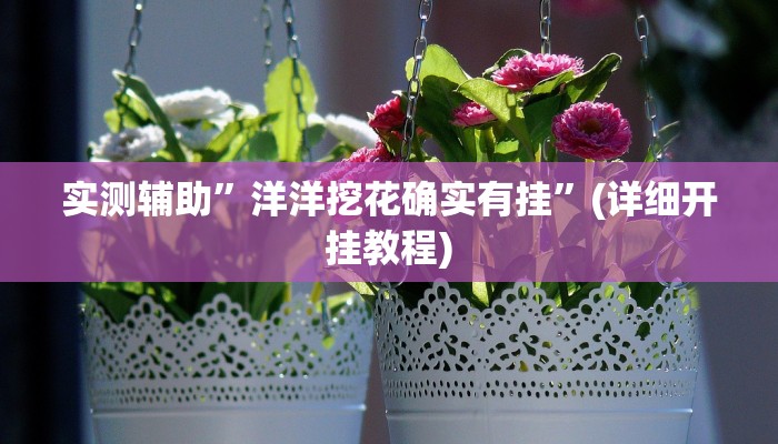 实测辅助”洋洋挖花确实有挂”(详细开挂教程)