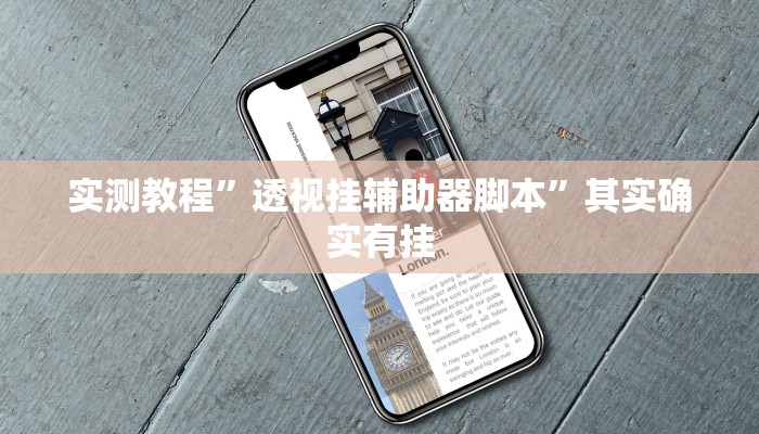 实测教程”透视挂辅助器脚本”其实确实有挂