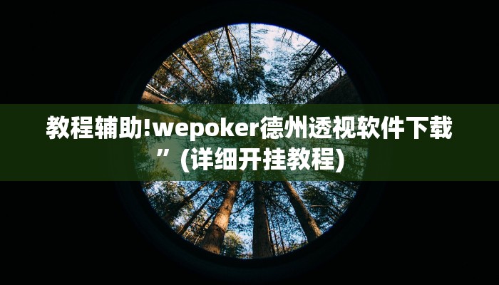 教程辅助!wepoker德州透视软件下载”(详细开挂教程)