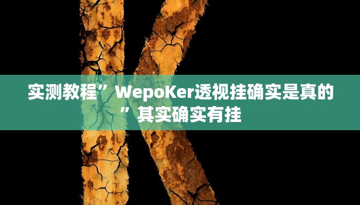 教程辅助!长乐互娱辅助软件”(详细开挂教程)